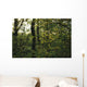  woodland view American holly tree foreground  Wall Mural