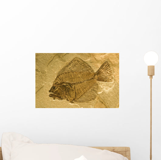 Fossil of a fish. Wall Mural
