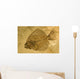 Fossil of a fish. Wall Mural