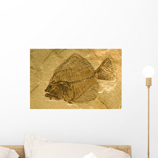Fossil of a fish. Wall Mural