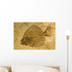 Fossil of a fish. Wall Mural