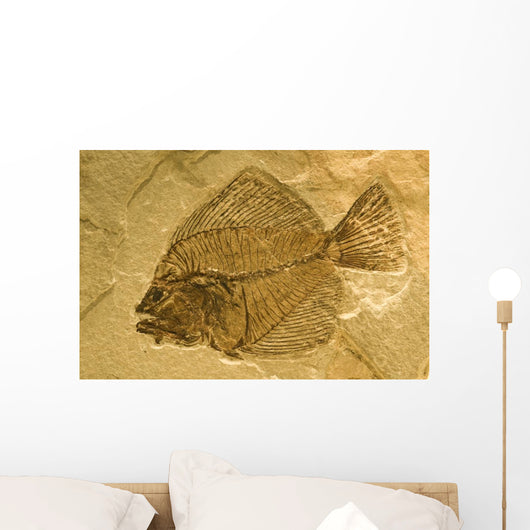 Fossil of a fish. Wall Mural