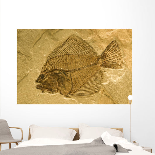 Fossil of a fish. Wall Mural