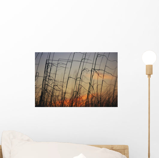 Tall grasses blowing wind twilight  Wall Mural