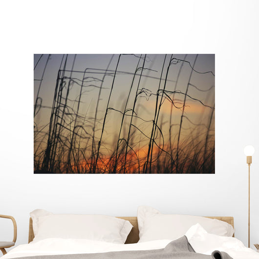 Tall grasses blowing wind twilight  Wall Mural