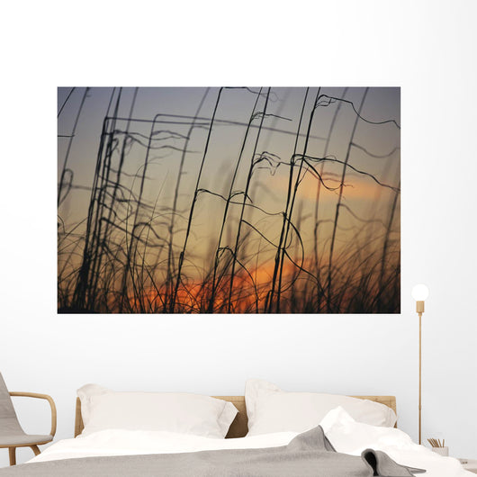 Tall grasses blowing wind twilight  Wall Mural