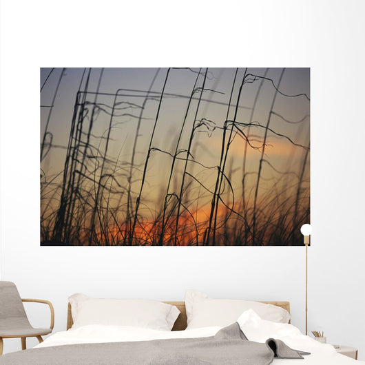 Tall grasses blowing wind twilight  Wall Mural