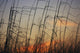 Tall grasses blowing wind twilight  Wall Mural