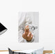 auto Wall Mural