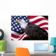 American eagle with flag Wall Mural