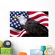 American eagle with flag Wall Mural