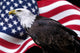 American eagle with flag Wall Mural
