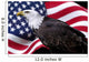 American eagle with flag Wall Mural