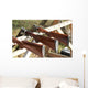 Skeet shooting Wall Mural