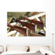 Skeet shooting Wall Mural