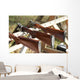 Skeet shooting Wall Mural