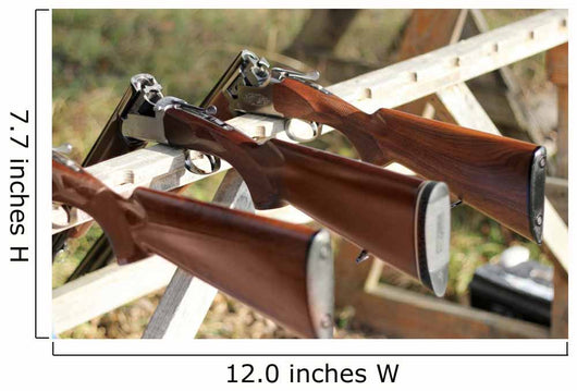 Skeet shooting Wall Mural