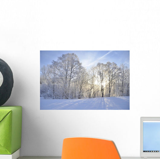 Winter-Stimmung Wall Mural