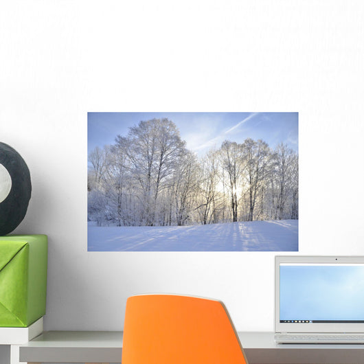 Winter-Stimmung Wall Mural
