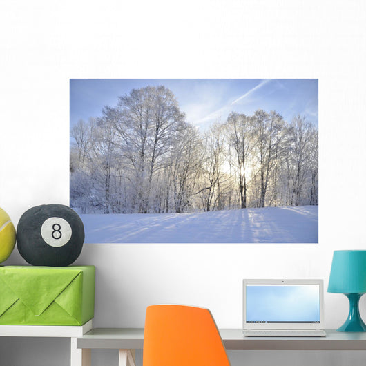 Winter-Stimmung Wall Mural