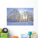 Winter-Stimmung Wall Mural