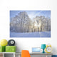 Winter-Stimmung Wall Mural