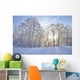 Winter-Stimmung Wall Mural