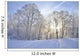 Winter-Stimmung Wall Mural
