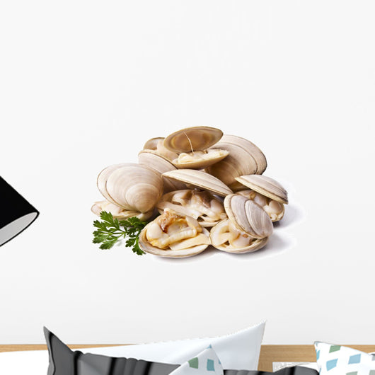 clams isolated on white background Wall Decal