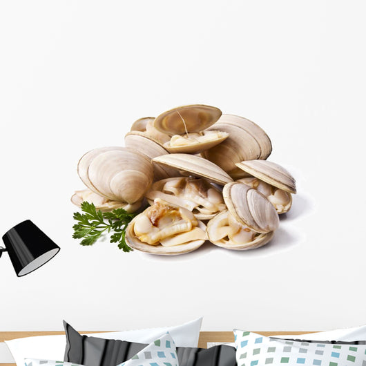 clams isolated on white background Wall Decal