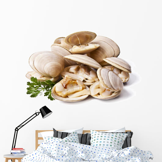 clams isolated on white background Wall Decal