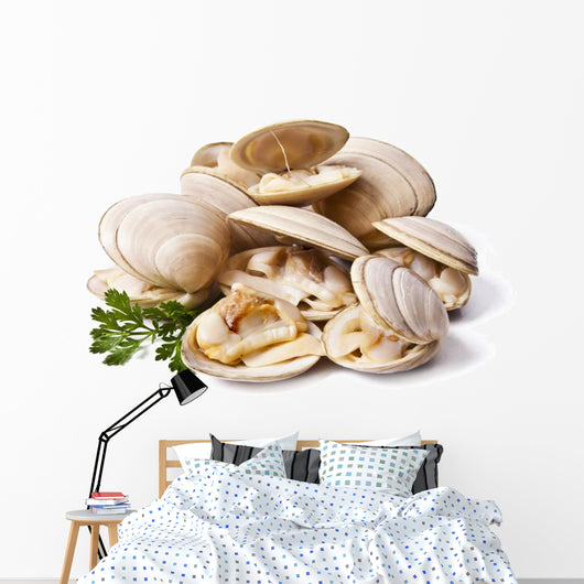 clams isolated on white background Wall Decal