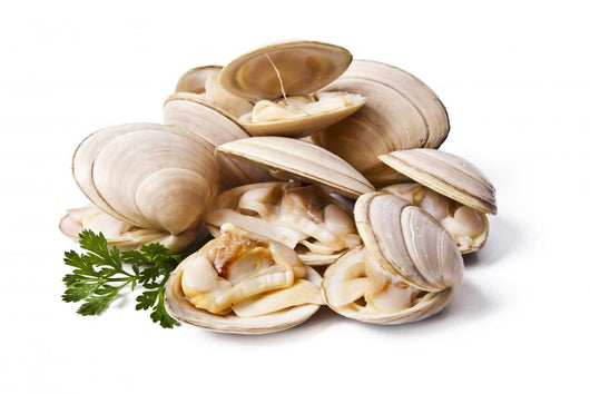 clams isolated on white background Wall Decal