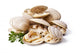 clams isolated on white background Wall Decal