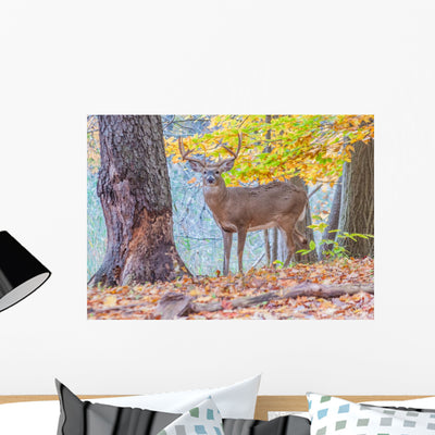Whitetail Deer Buck Wall Decal shown on a wall