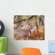 Whitetail Deer Buck Wall Mural