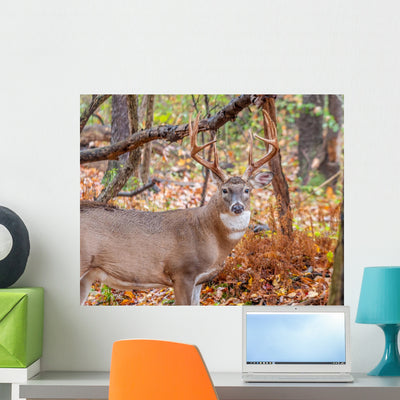 Whitetail Deer Buck Wall Mural shown on a wall