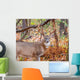 Whitetail Deer Buck Wall Mural