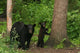 Mother and Child Wall Mural