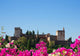 fortress of Alhambra, Spain Wall Mural