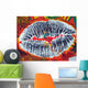 Graffiti Kisses Wall Mural