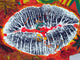 Graffiti Kisses Wall Mural