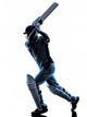 Cricket player  batsman silhouette Wall Decal