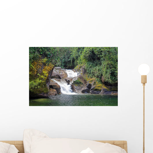 amazonian falls Wall Mural