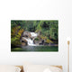 amazonian falls Wall Mural
