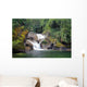 amazonian falls Wall Mural