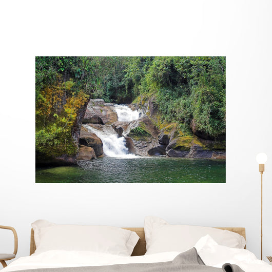 amazonian falls Wall Mural