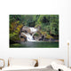 amazonian falls Wall Mural