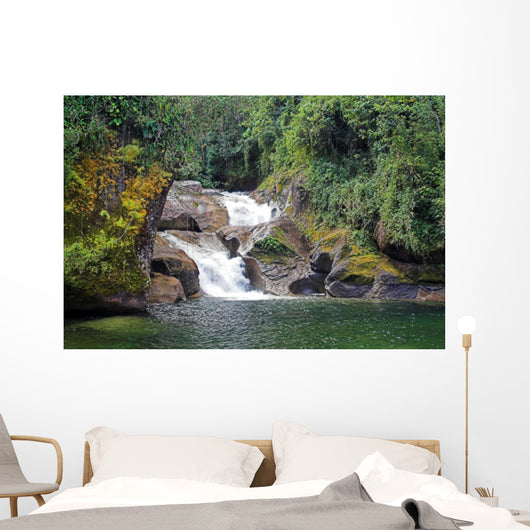 amazonian falls Wall Mural
