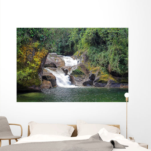 amazonian falls Wall Mural
